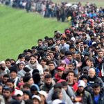 International Migrants Increasing