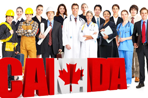 High Paying Jobs In Canada That Do Not Require A University Degree