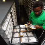 highest paid jobs in dubai