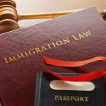 Traits To Look For In An Immigration Attorney